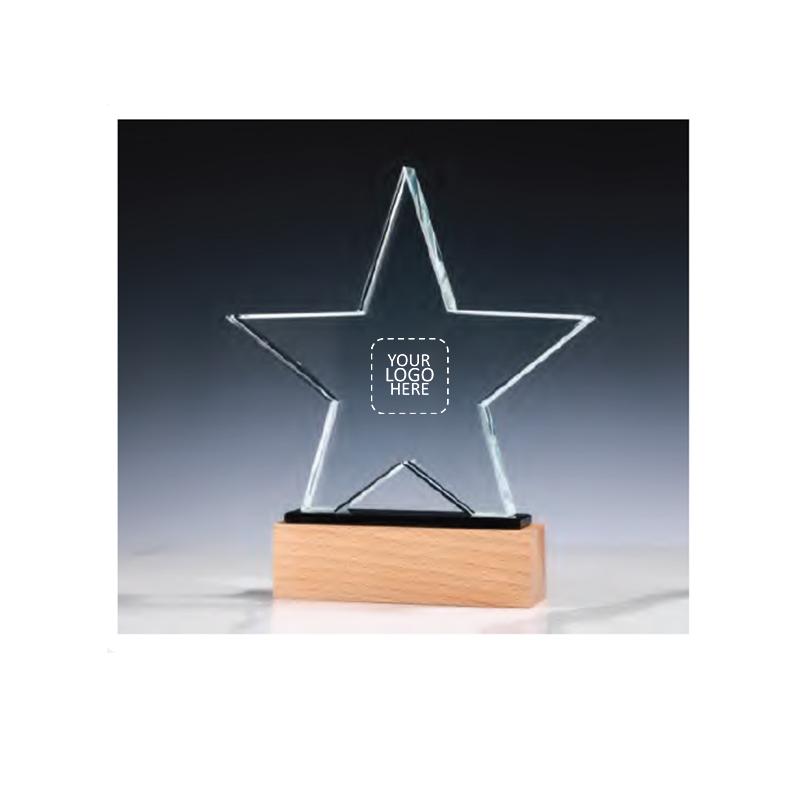 200*225*40mm Crystal and Wood Award  With Logo